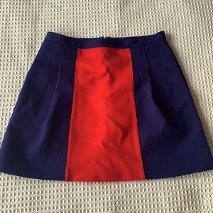 Club Monaco Skirt Mini